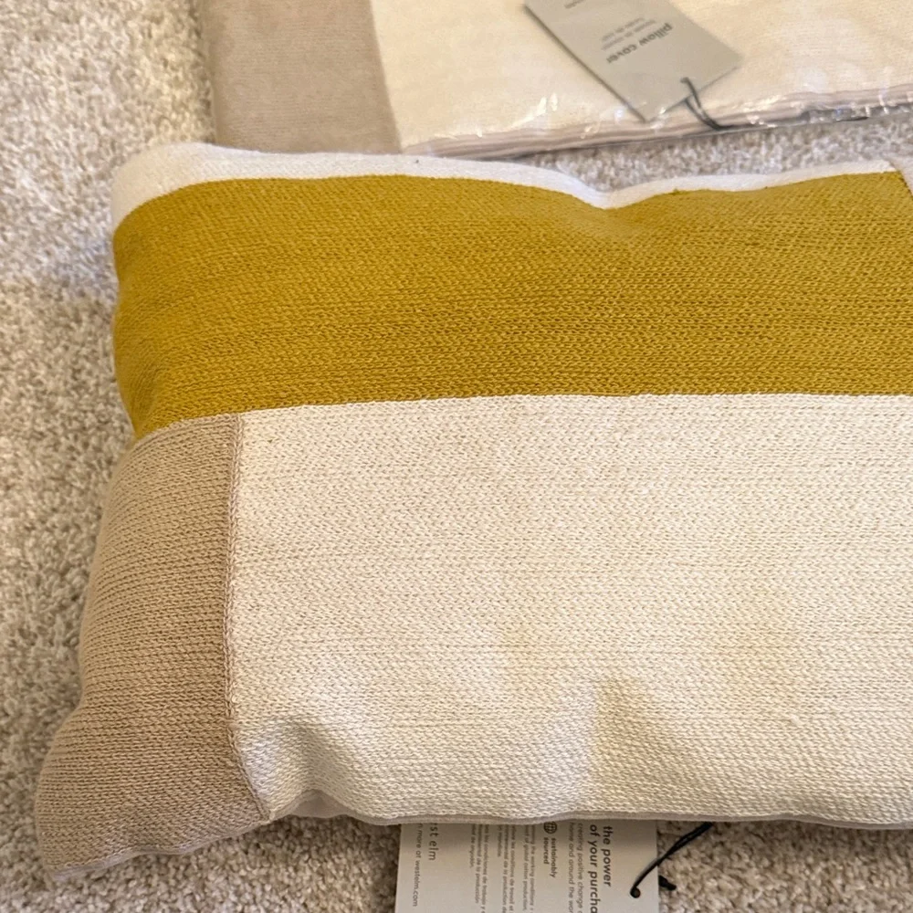 West Elm Modern Beige and Gold Pillow Set